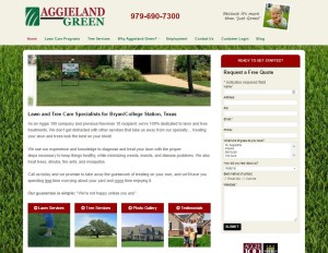 aggieland-web-design